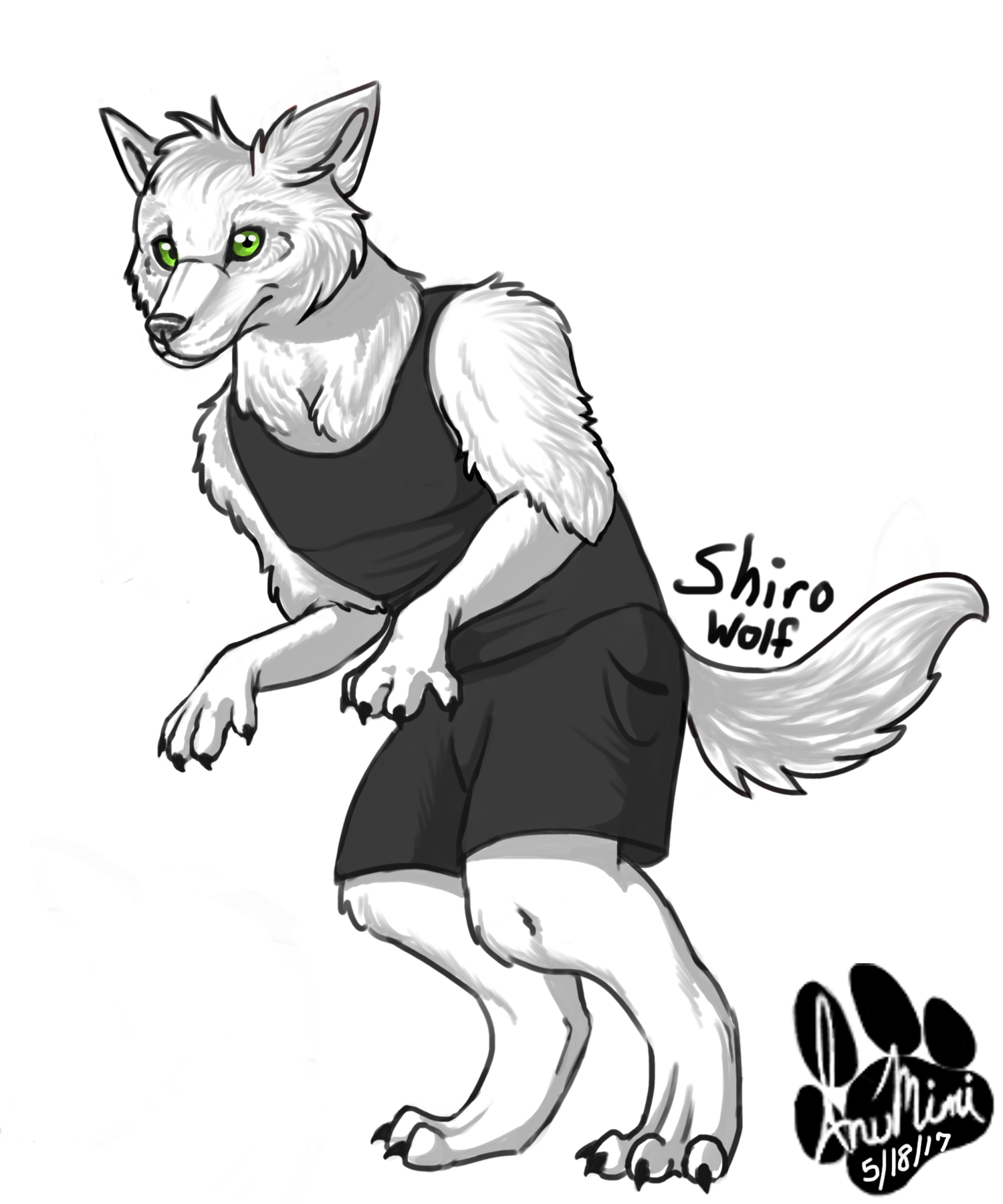 Shiro Wolf