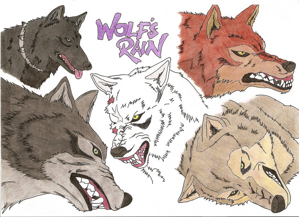 Wolf's Rain by jennymaycry on DeviantArt