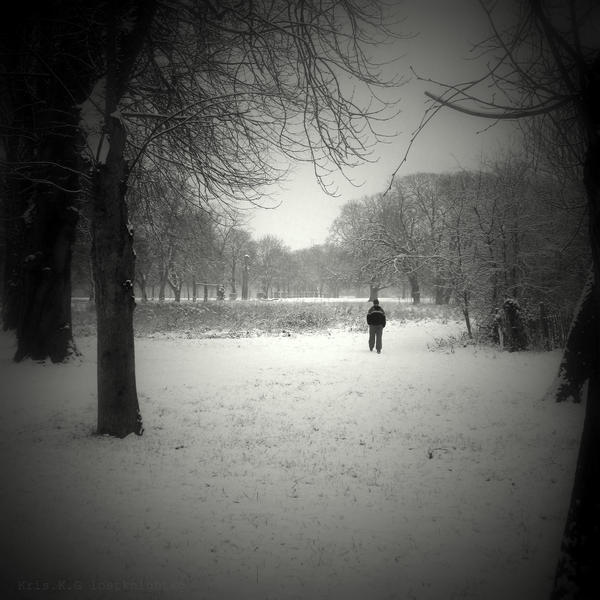 Snow walk II