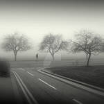 Fog venture by lostknightkg