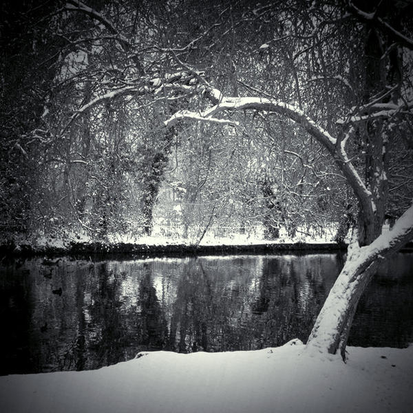 Winter arch