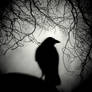 Raven Watch