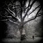 Whomping Willow by lostknightkg
