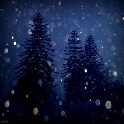 Merry Christmas and Happy New Year