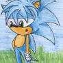 Chaz -Sonic's kid-