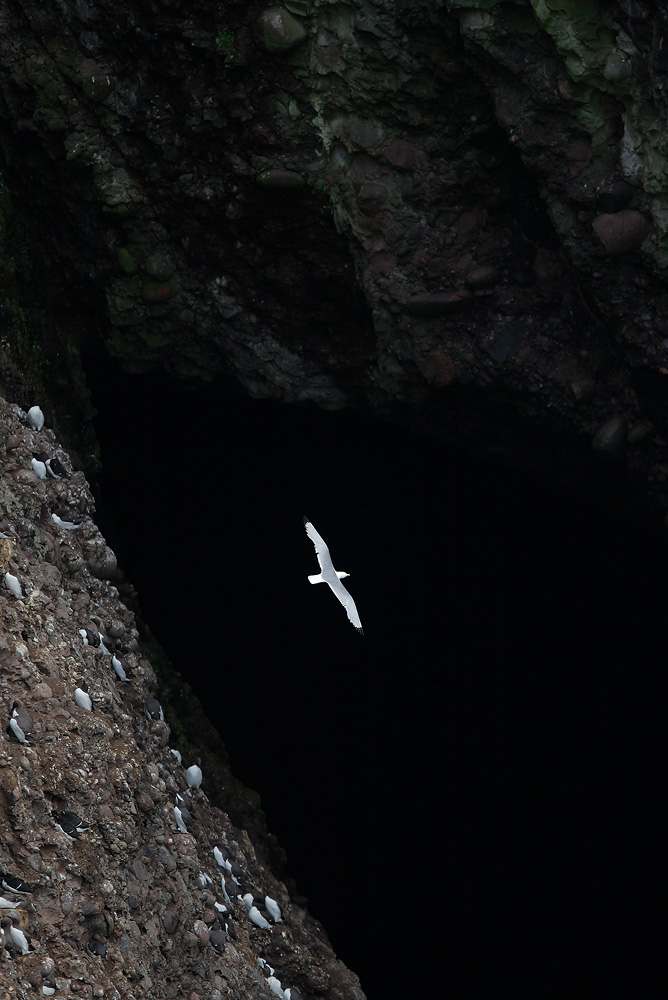 Dark... inside the gigantic hole