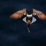 Landing... a point of view