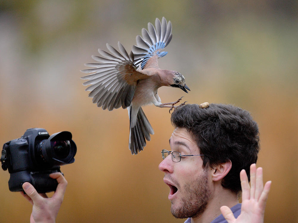 День человека птицы. Фотограф птиц. Человек птица. Забавные птицы. Фотографирование птиц.