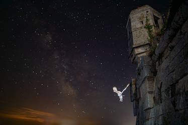 The barn owl and the milky way