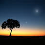 botswana sunset wif a treeee