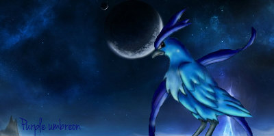 Articuno at night banner