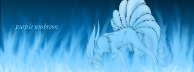 Burning ninetales banner