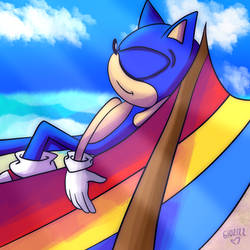 Can you Feel the Sunshine Sonic