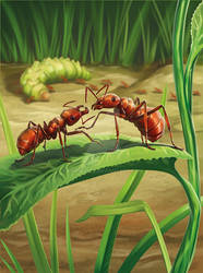 Ants art for Evolution