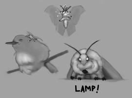 moth