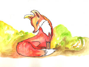 Fox