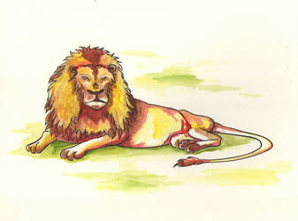 Lion