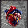 2D Anatomical Heart