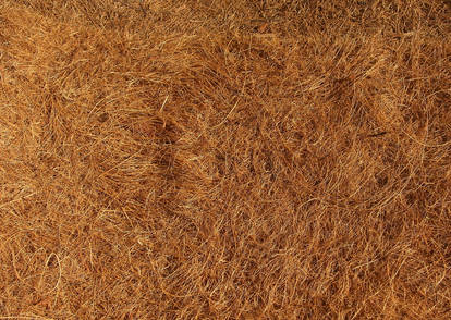 Hay Texture