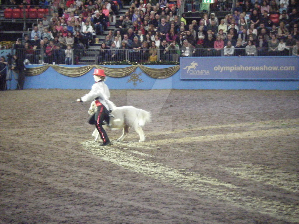 Olympia 2010 - Shetland Pony Grand National - 7