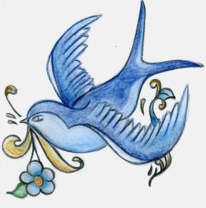 Blue Swallow