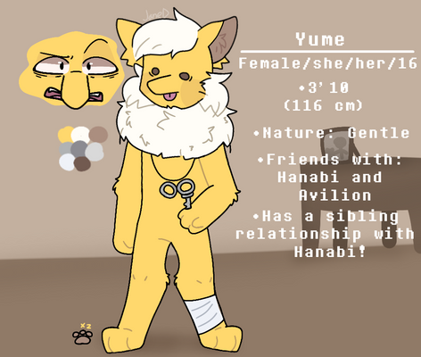Yume (Pokemon oc)