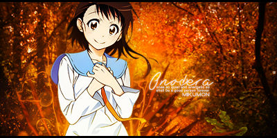 Onodera Sig