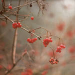 Faurit by a14onymus