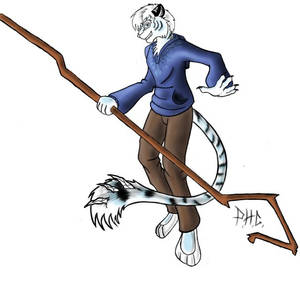 Jack Frost the White Tiger