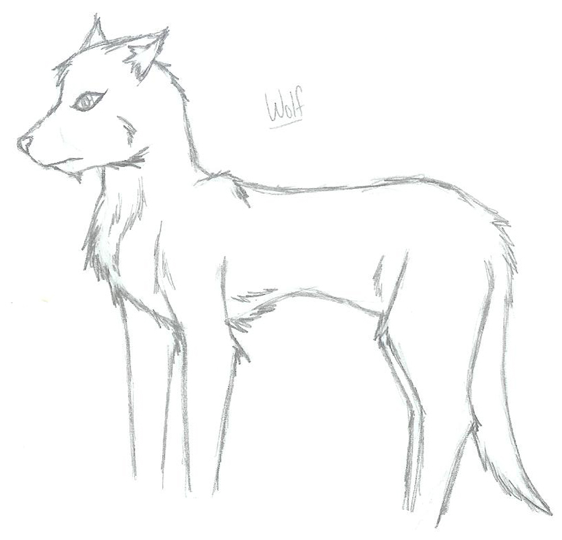 Wolf