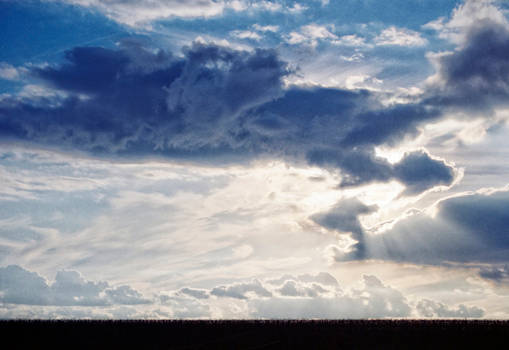 Sky over the vinyard