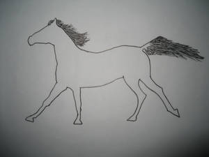 Caballo #1