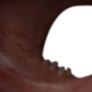 THROAT Death Stranding Webcam Overlay