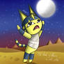 Friends of Fenomena - Ankha