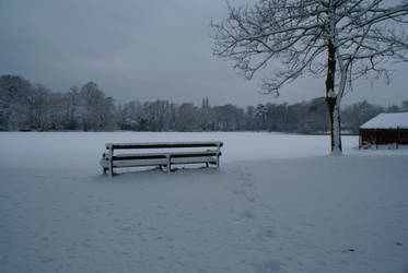 Snow Bench