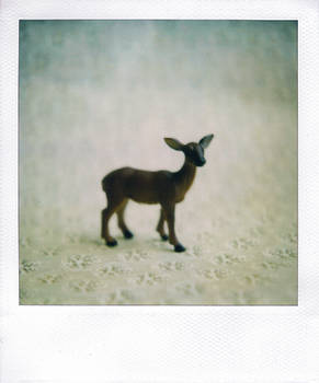 Miniature Deer