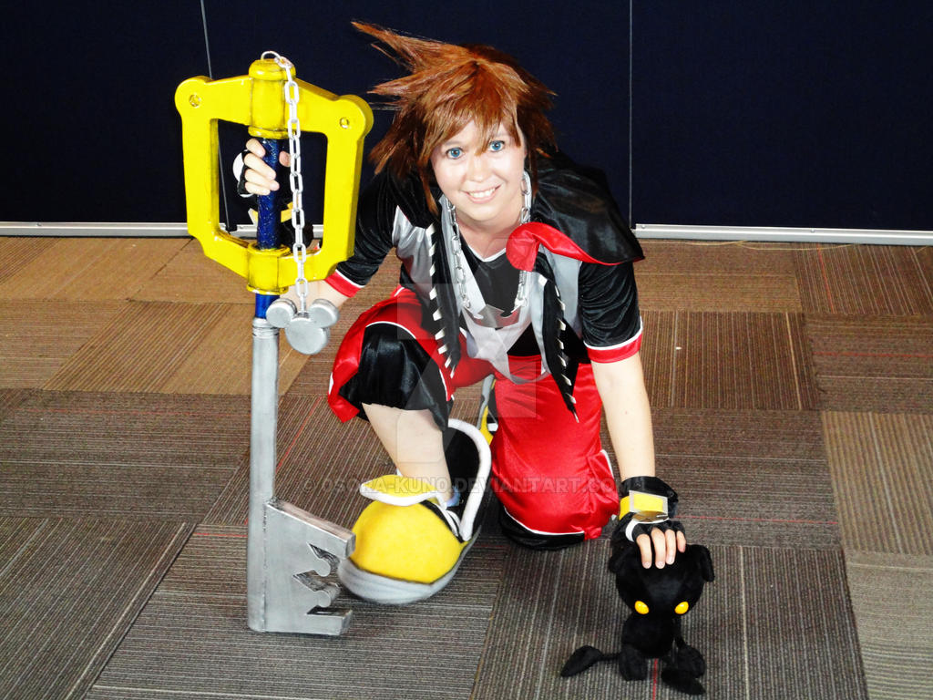 Sora Kingdom Hearts 3D