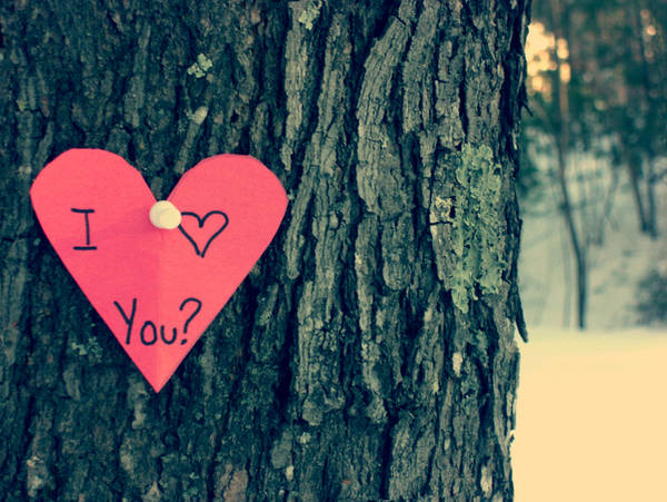 I Love You? by pinkparis1233