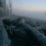 Rialto Beach Mist - Forks, WA