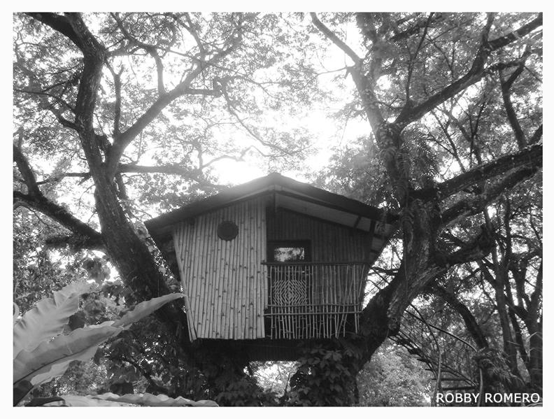 tree king by robirobster on DeviantArt