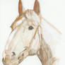 Horse - waterpainting portrait