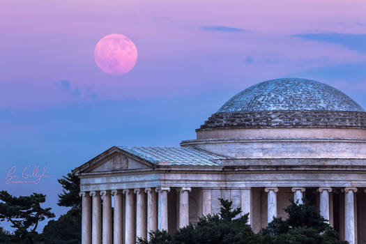 Thomas Jefferson Memorial Moonrise