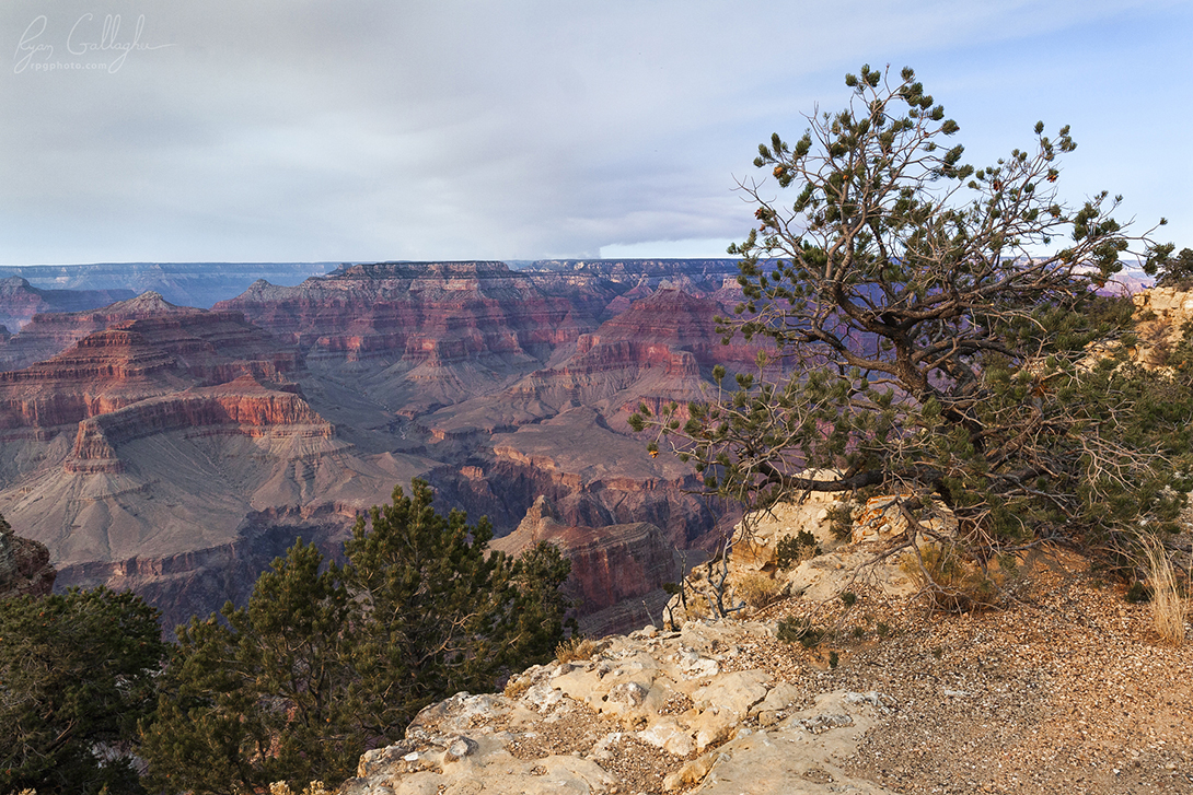 Canyon Overlook