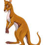 Kangaroo by Reptangle on DeviantArt