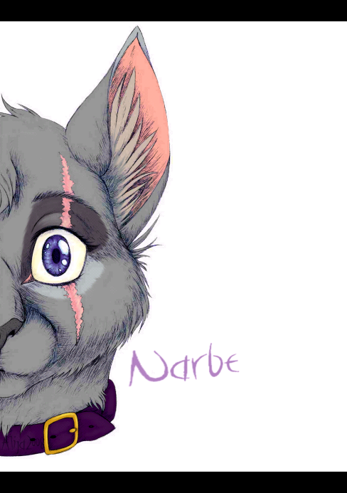 _Narbe_