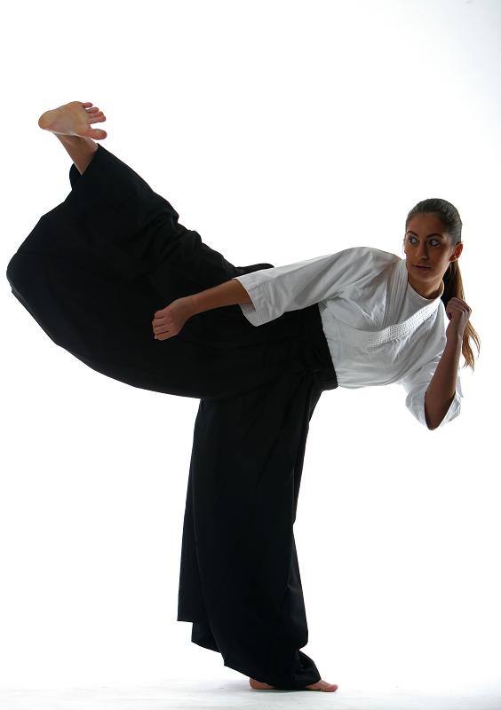 Aikido_2