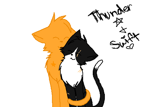 SwiftThunder | Gift Art