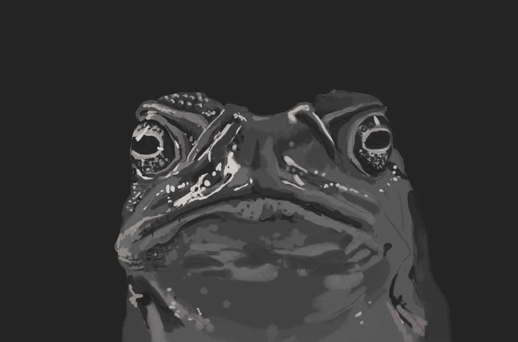 Toad study by Zidphoid on DeviantArt