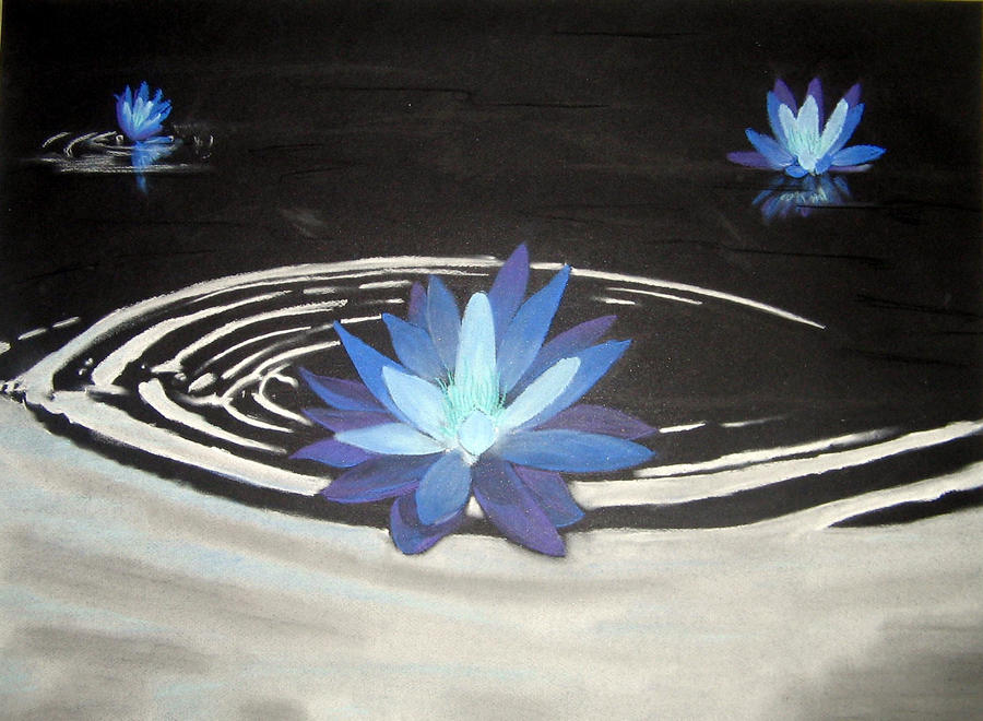 Indigo Lotus