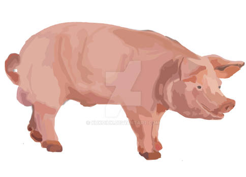 Pig